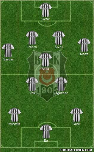 Besiktas JK Formation 2014