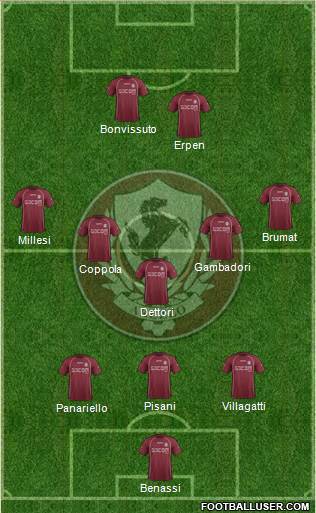 Arezzo Formation 2014