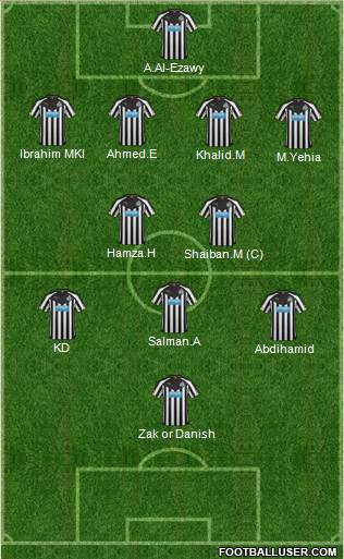 Newcastle United Formation 2014