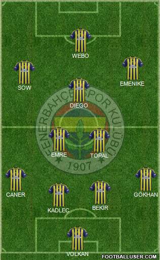 Fenerbahçe SK Formation 2014