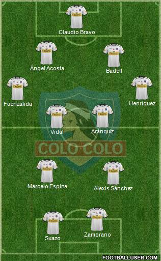 CSD Colo Colo Formation 2014