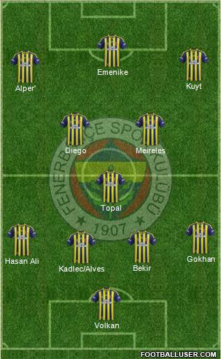 Fenerbahçe SK Formation 2014