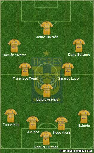 Club Universitario de Nuevo León Formation 2014