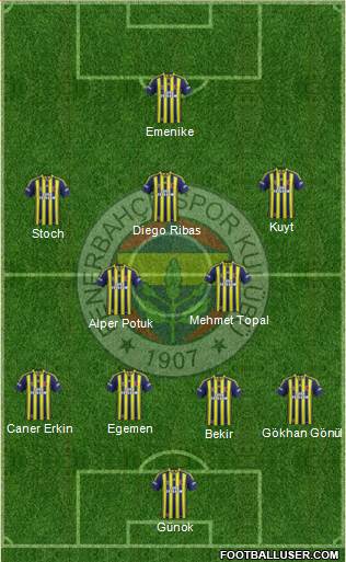 Fenerbahçe SK Formation 2014