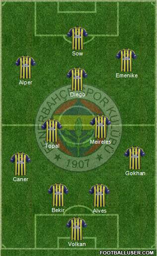 Fenerbahçe SK Formation 2014