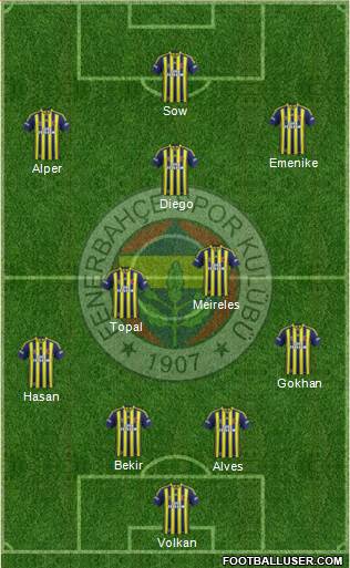 Fenerbahçe SK Formation 2014