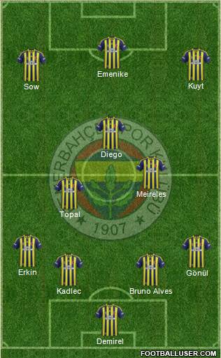 Fenerbahçe SK Formation 2014