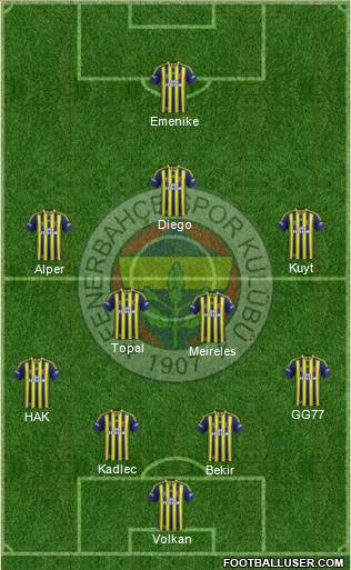 Fenerbahçe SK Formation 2014