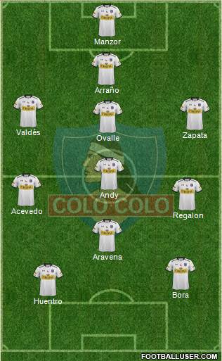 CSD Colo Colo Formation 2014