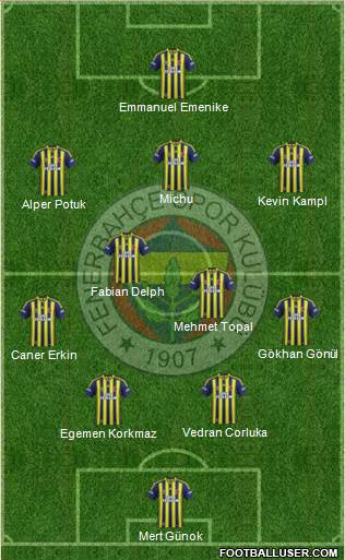 Fenerbahçe SK Formation 2014