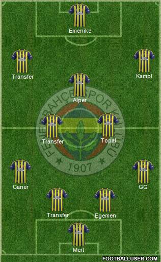 Fenerbahçe SK Formation 2014
