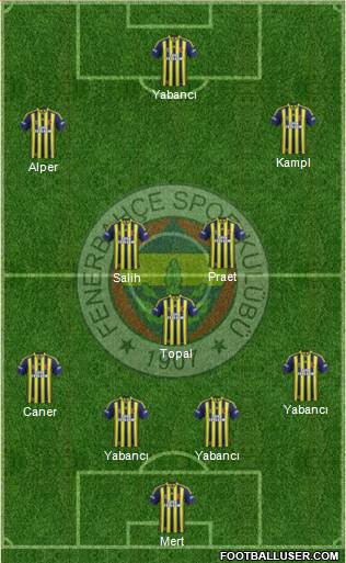 Fenerbahçe SK Formation 2014