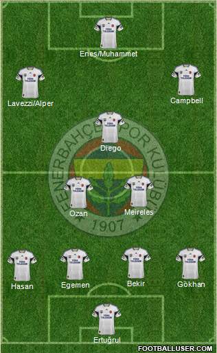 Fenerbahçe SK Formation 2014