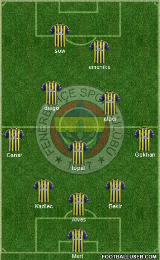 Fenerbahçe SK Formation 2014