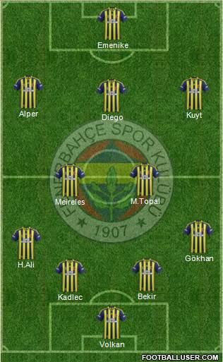 Fenerbahçe SK Formation 2014