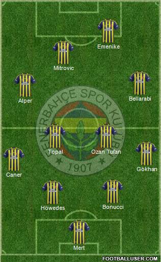 Fenerbahçe SK Formation 2014