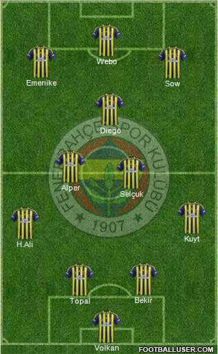 Fenerbahçe SK Formation 2014