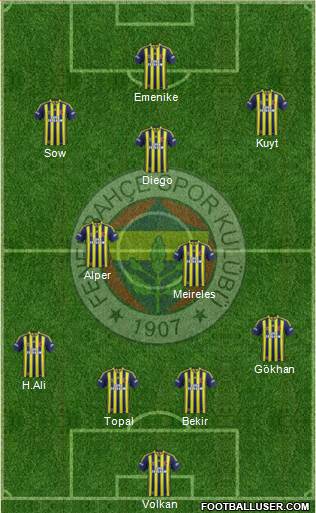 Fenerbahçe SK Formation 2014