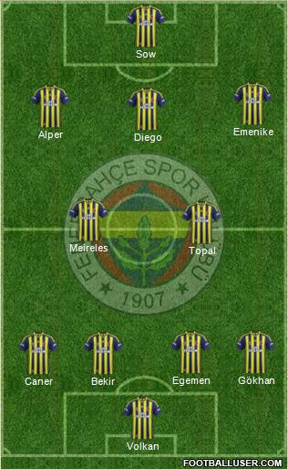 Fenerbahçe SK Formation 2014