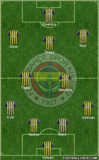 Fenerbahçe SK Formation 2014