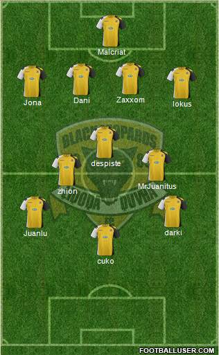 Black Leopards Formation 2014