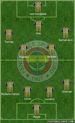 Fenerbahçe SK Formation 2014