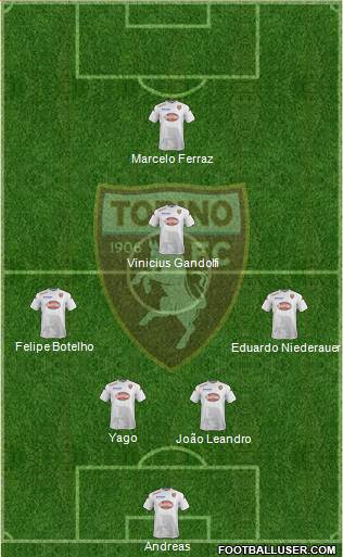 Torino Formation 2014