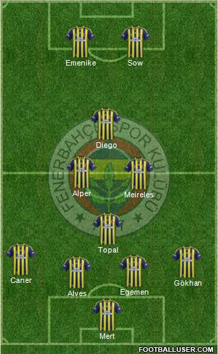 Fenerbahçe SK Formation 2014