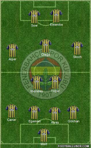 Fenerbahçe SK Formation 2014