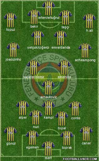 Fenerbahçe SK Formation 2014