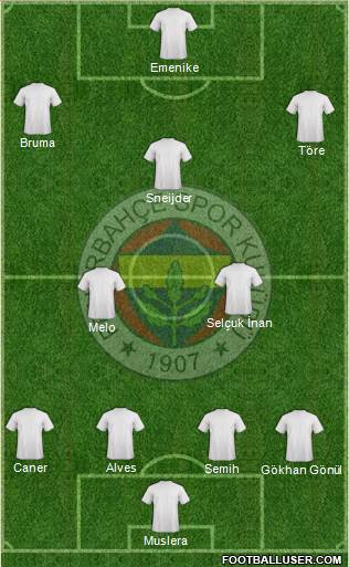 Fenerbahçe SK Formation 2014