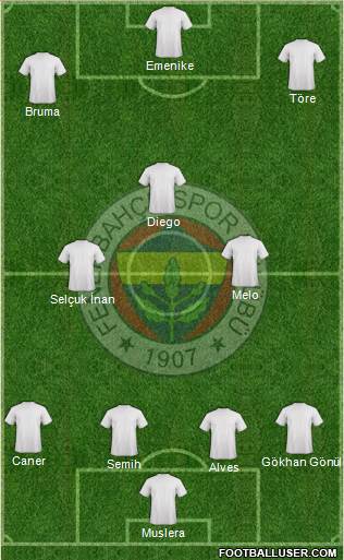 Fenerbahçe SK Formation 2014