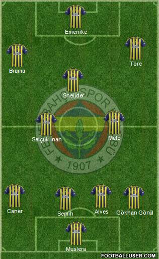Fenerbahçe SK Formation 2014