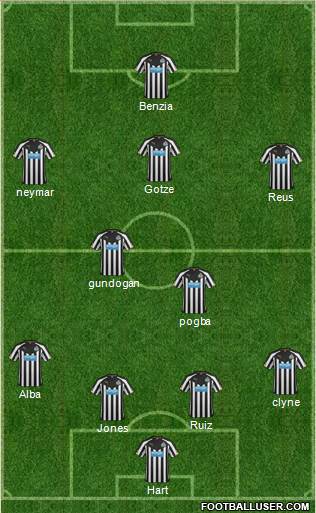 Newcastle United Formation 2014