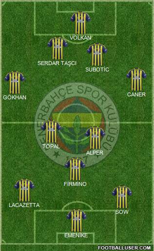Fenerbahçe SK Formation 2014