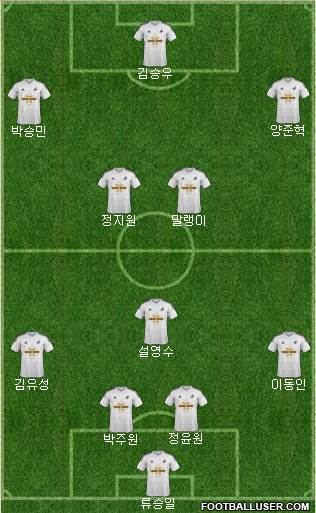 Swansea City Formation 2014