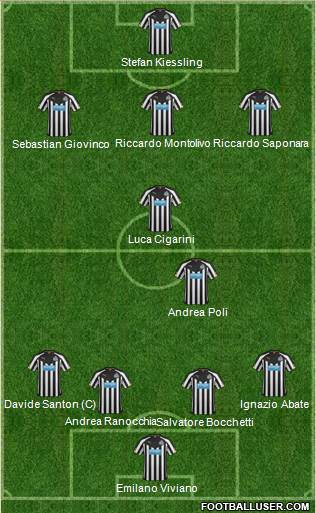 Newcastle United Formation 2014