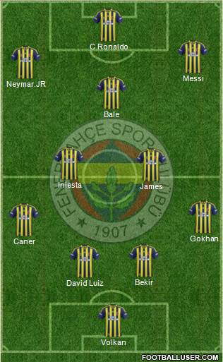 Fenerbahçe SK Formation 2014