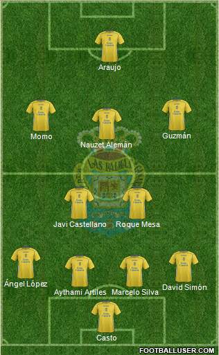 U.D. Las Palmas S.A.D. Formation 2014