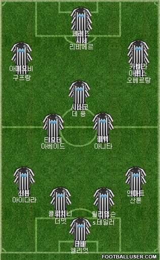 Newcastle United Formation 2014