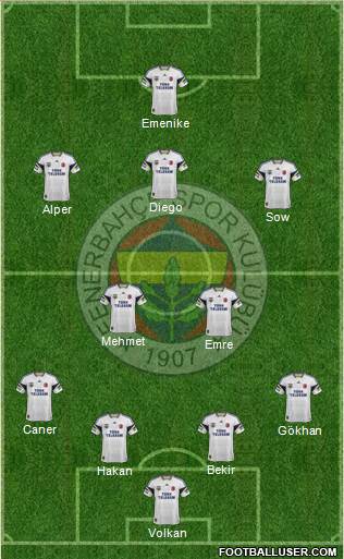 Fenerbahçe SK Formation 2014