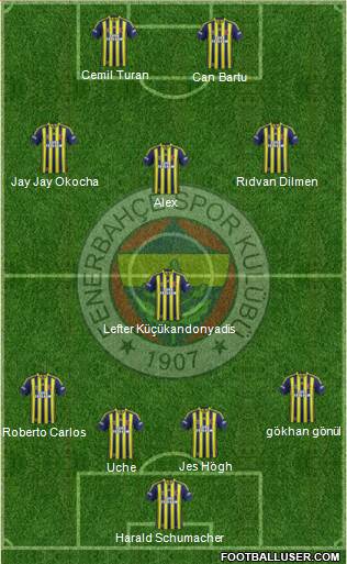Fenerbahçe SK Formation 2014