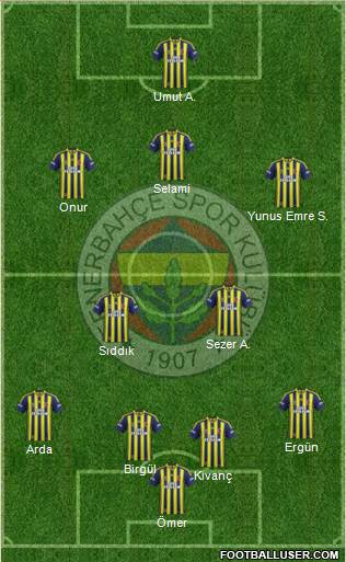 Fenerbahçe SK Formation 2014