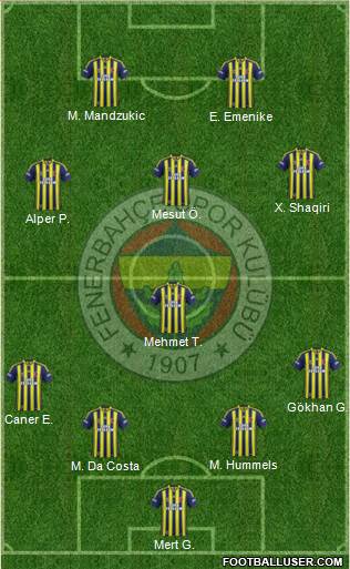 Fenerbahçe SK Formation 2014