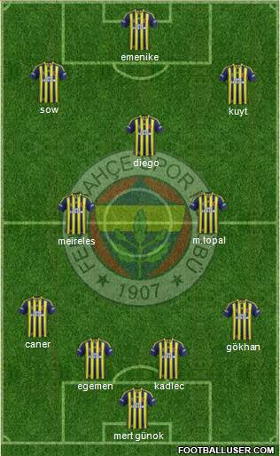 Fenerbahçe SK Formation 2014