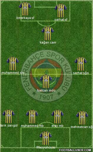 Fenerbahçe SK Formation 2014