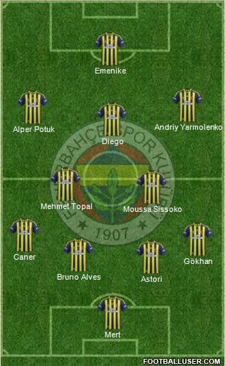 Fenerbahçe SK Formation 2014