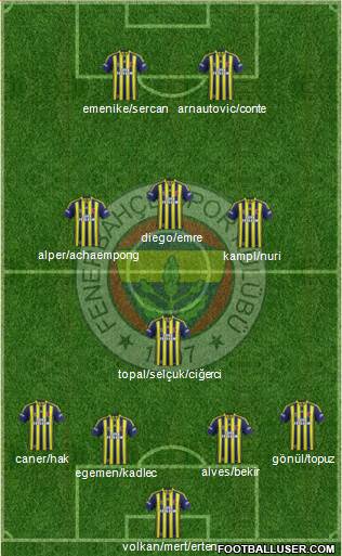 Fenerbahçe SK Formation 2014