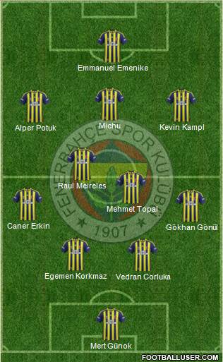 Fenerbahçe SK Formation 2014