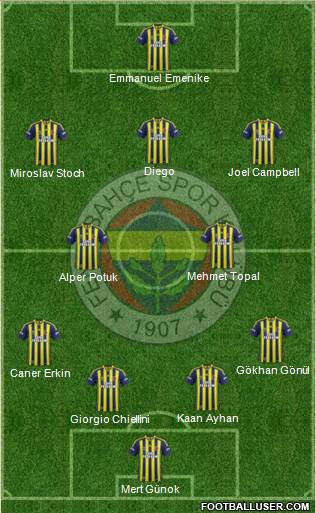 Fenerbahçe SK Formation 2014
